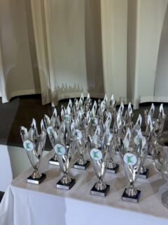 💚💙 Koorana Gymnastics 2025 Awards Night!

A massive congratulations to all of our incredible MAG, WAG and TeamGym award winners for 2025! Your dedication, resilience and passion for gymnastics continue to inspire our entire Koorana community 🤸‍♀️🏆

A special mention to our 2025 Athletes of the Year: ⭐️ MAG Athlete of the Year – Hayden Mychajliw ⭐️ WAG Athlete of the Year – Caden Macrow

We were privileged to welcome Stephen Patterson MP local member for Morphett and Kris Hanna Mayor of Marion in South Australia to present our athletes with their awards throughout the night. Thank you for sharing your night with us!

A heartfelt thank you to our amazing Events Coordinator, Sarah, for organising such a seamless and memorable night, and thank you to the wonderful team at The Grand Ballroom for your outstanding hospitality throughout the evening.

Here’s to celebrating hard work, teamwork and another incredible year at Koorana Gymnastics! 💙✨ 

#KooranaGymnastics #AwardsNight2025