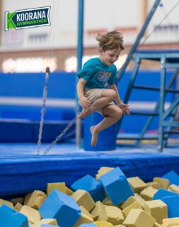 😴🤸🏻♀️ Got a little one with endless energy? We’ve got the cure! KinderGym is the perfect place for your toddler to develop gross motor skills, coordination and, let’s be honest, ensure a really good nap later.
⭐️ The best part? Our flexible Punch Pass means you don’t have to plan weeks in advance. Wake up and realise it’s a ‘need to get out of the house’ kind of day? Just show up and punch your card! See you on the mats! 😁
#kindergym #toddlerlife #energyburn #gymnastics